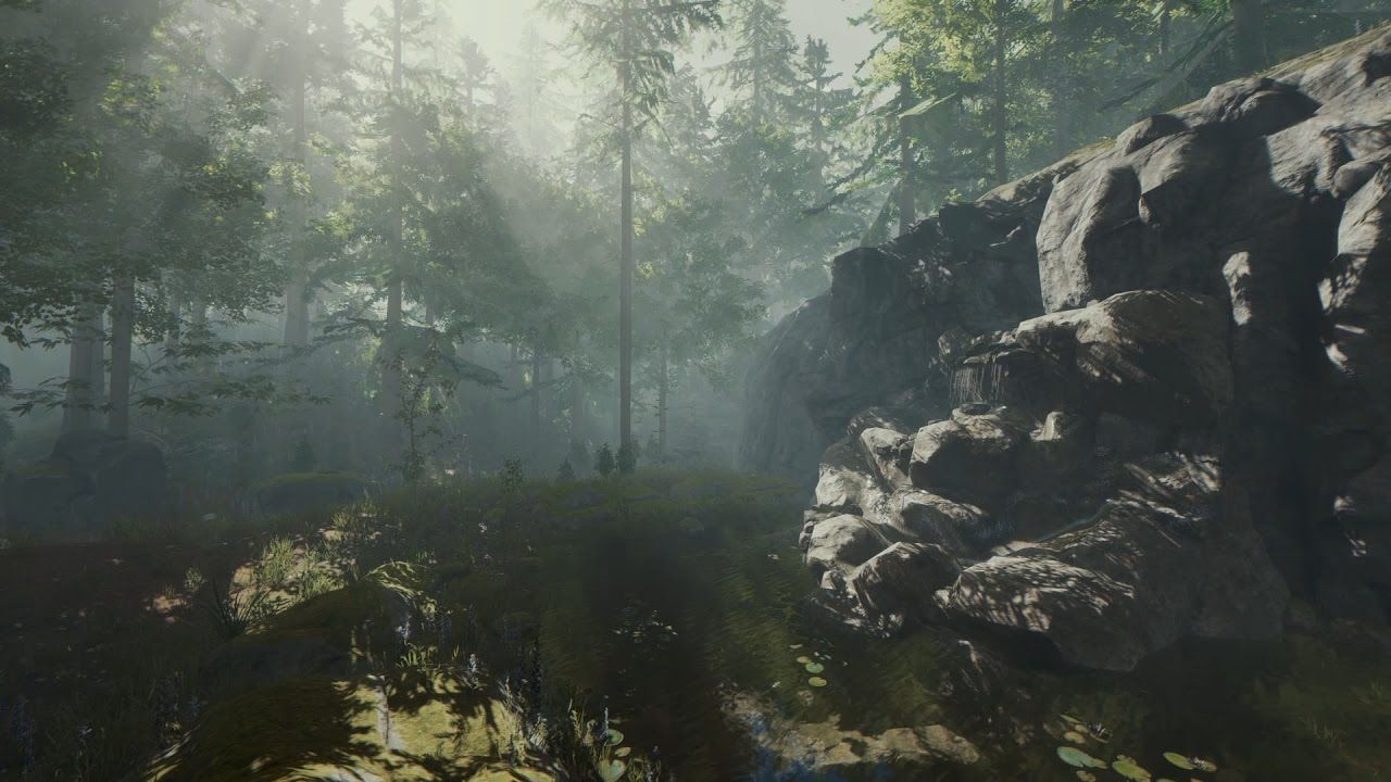 videogames/the-forest-wallpaper.jpg